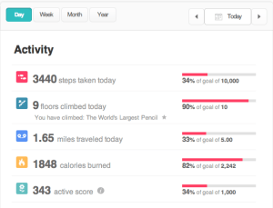 FitBitWebSite